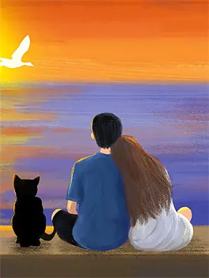星辰下的约定合集