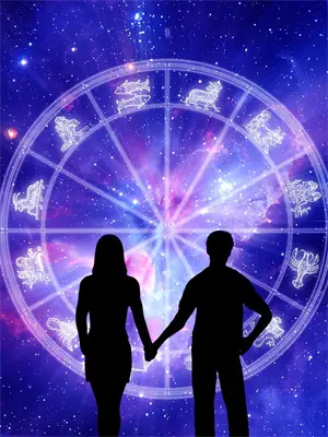 捡个病秧子做夫君小说