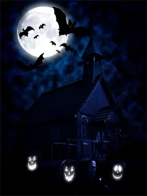 她是病娇权臣的掌中欢